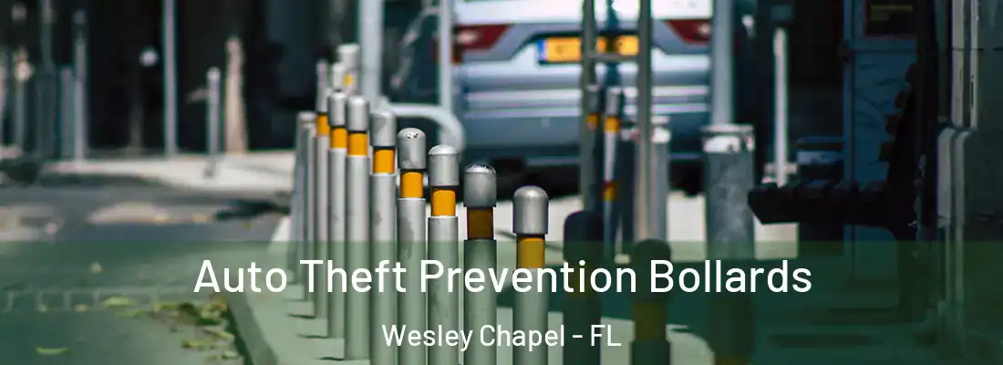 Auto Theft Prevention Bollards Wesley Chapel - FL