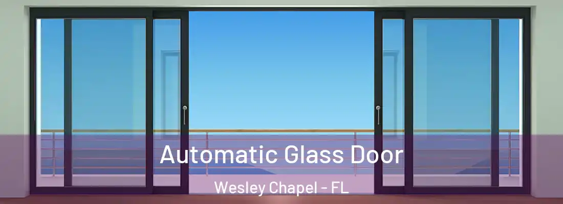 Automatic Glass Door Wesley Chapel - FL