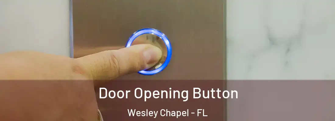 Door Opening Button Wesley Chapel - FL