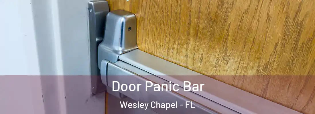  Door Panic Bar Wesley Chapel - FL