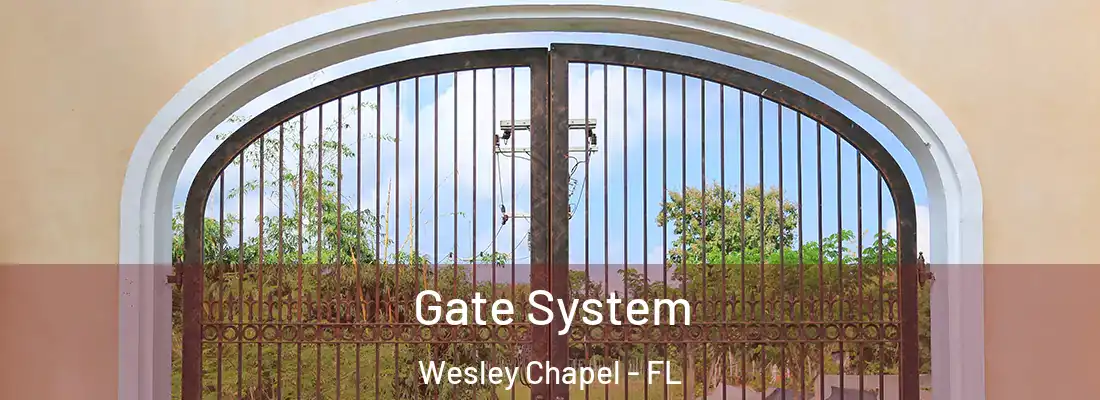 Gate System Wesley Chapel - FL