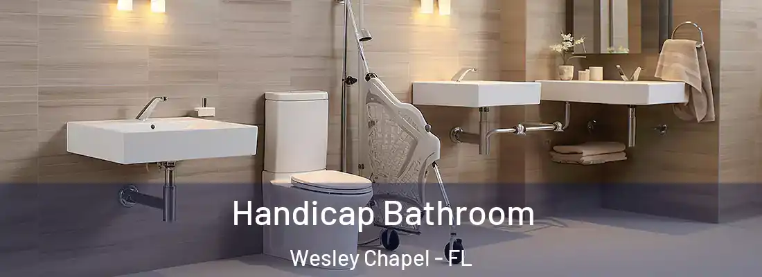 Handicap Bathroom Wesley Chapel - FL