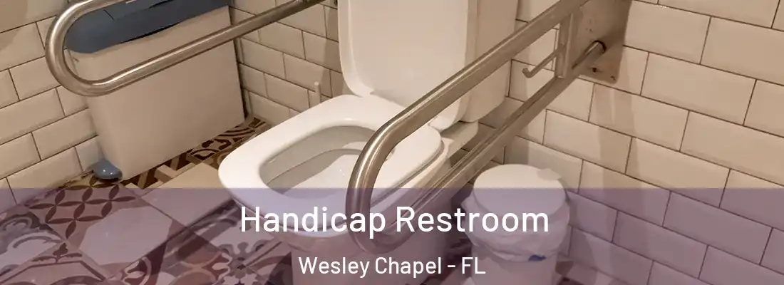  Handicap Restroom Wesley Chapel - FL