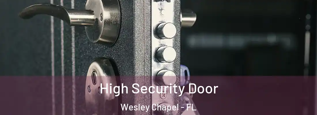 High Security Door Wesley Chapel - FL