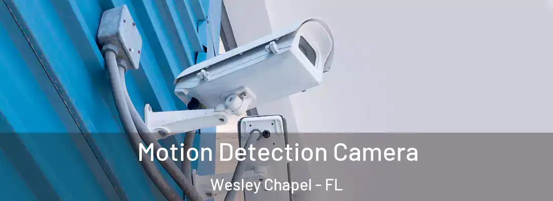 Motion Detection Camera Wesley Chapel - FL