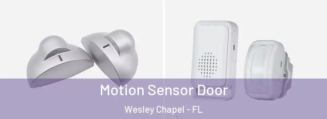 Motion Sensor Door Wesley Chapel - FL