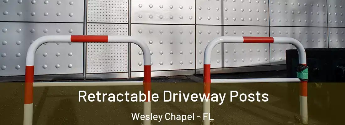 Retractable Driveway Posts Wesley Chapel - FL