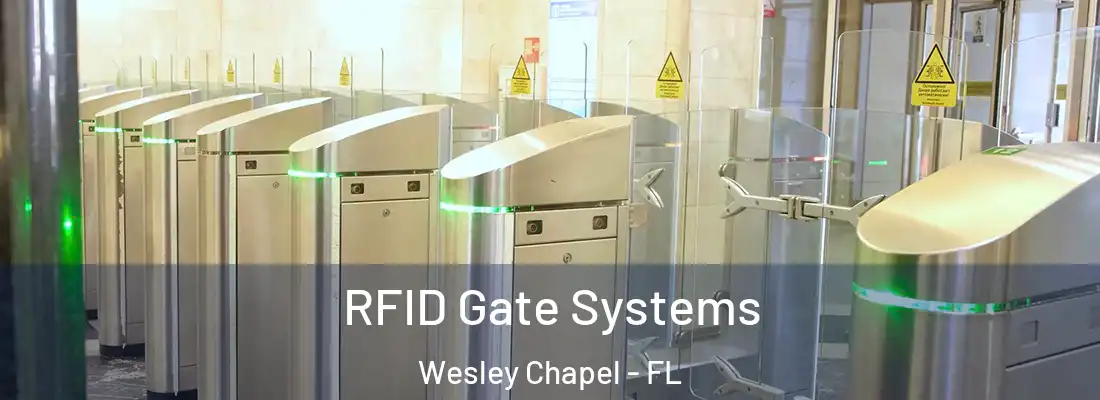 RFID Gate Systems Wesley Chapel - FL
