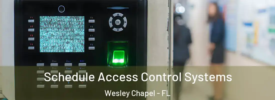Schedule Access Control Systems Wesley Chapel - FL