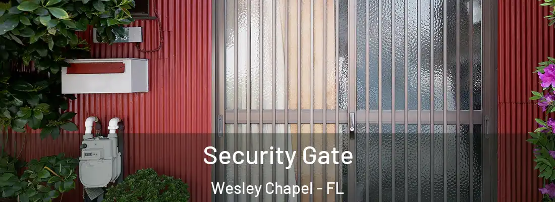 Security Gate Wesley Chapel - FL