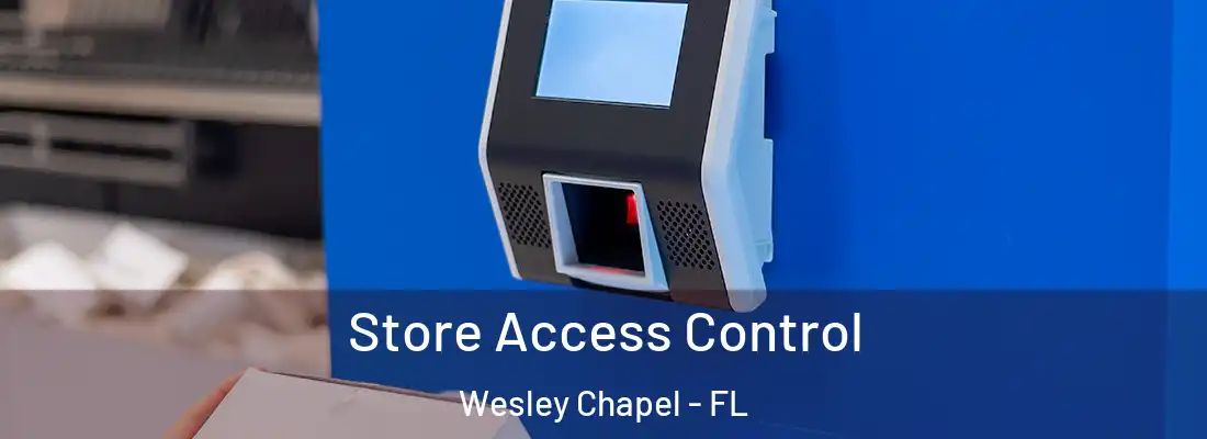 Store Access Control Wesley Chapel - FL