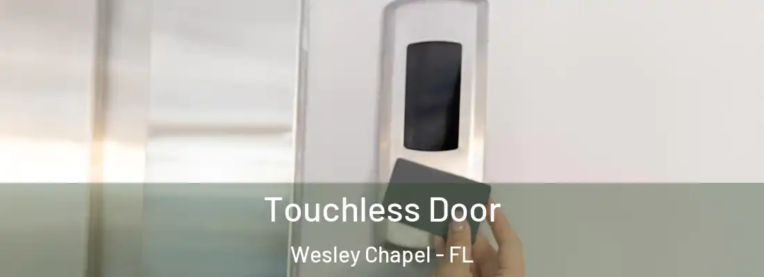 Touchless Door Wesley Chapel - FL