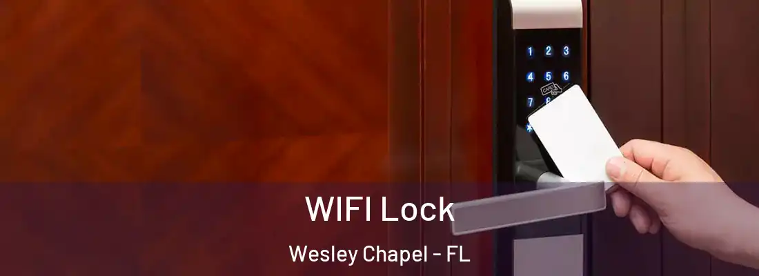 WIFI Lock Wesley Chapel - FL
